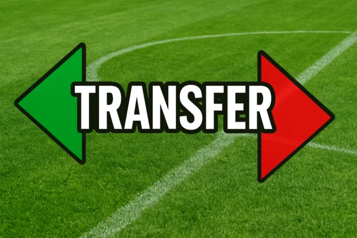 Transfery ogólny obrazek 15